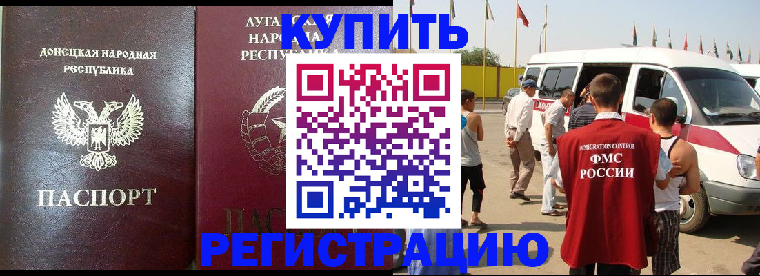 прописка 2025 в Светогорске